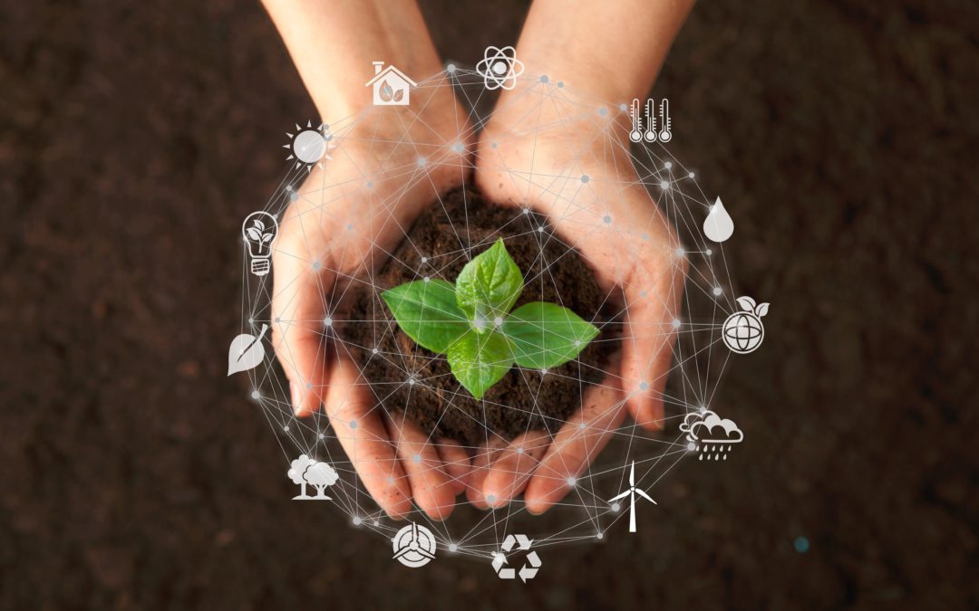Transition écologique : Boostez votre efficacité avec les LED d’ElectroLED