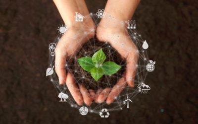Transition écologique : Boostez votre efficacité avec les LED d’ElectroLED