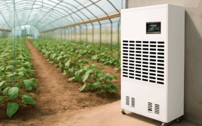 Comment le déshumidificateur industriel améliore la rentabilité des serres agricoles