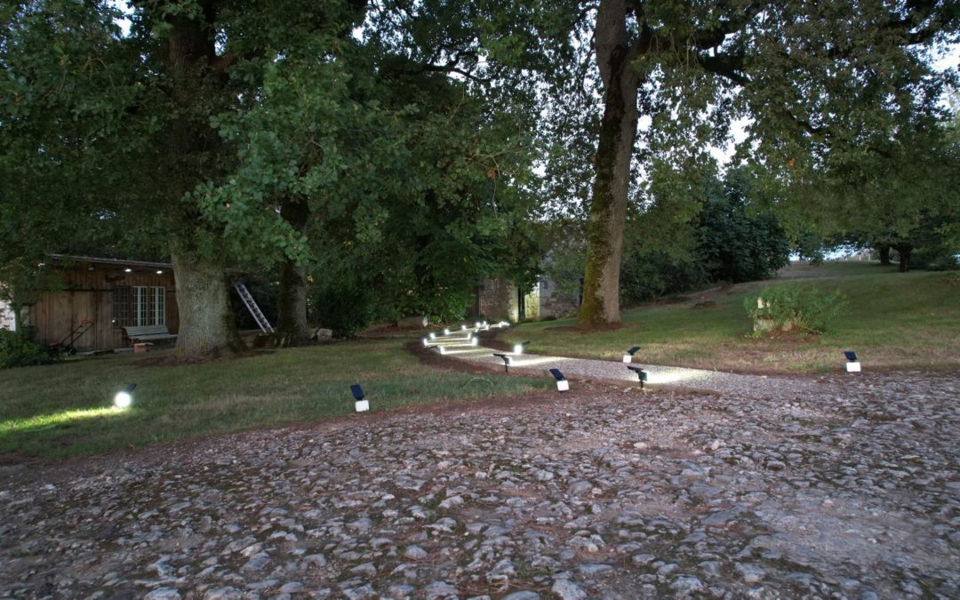 Piquets solaires LED : comment illuminer vos extérieurs sans consommer d’électricité